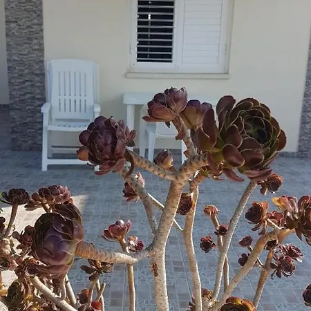 Panorama House, 5 Meters To The Sea *