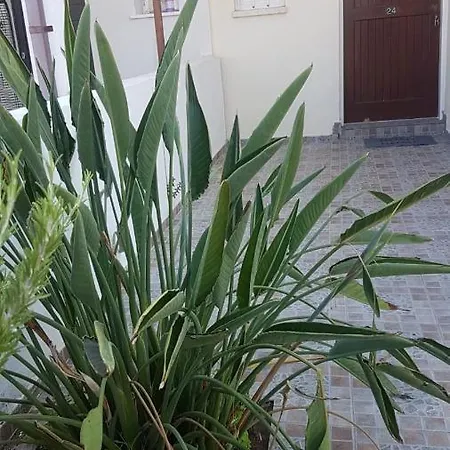 Panorama House, 5 Meters To The Sea Perivólia