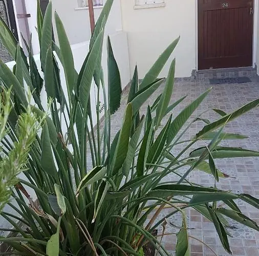 Panorama House, 5 Meters To The Sea Perivolia